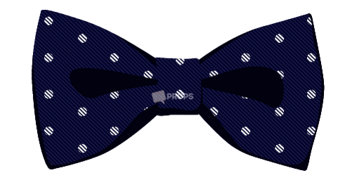 Navy Polka Dot Bowtie