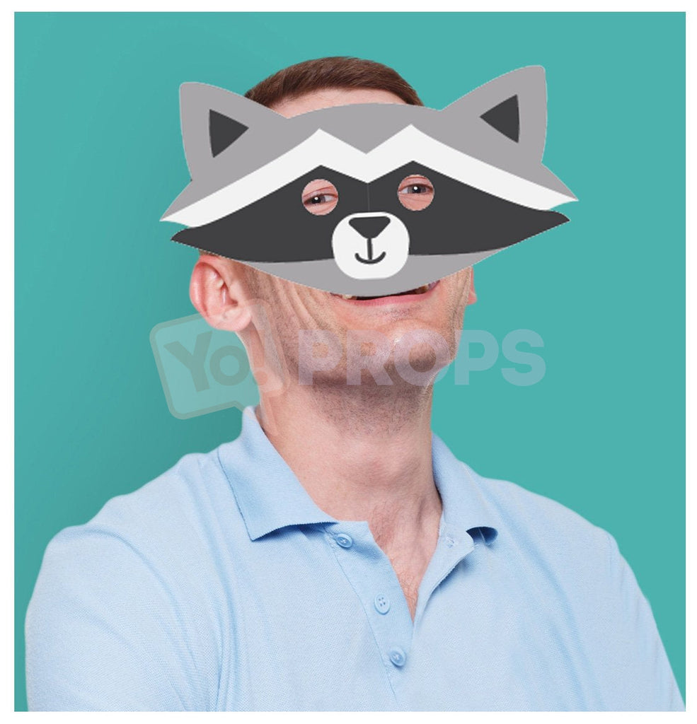 Raccoon Mask 2