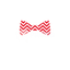 Red Zig Zag Bowtie