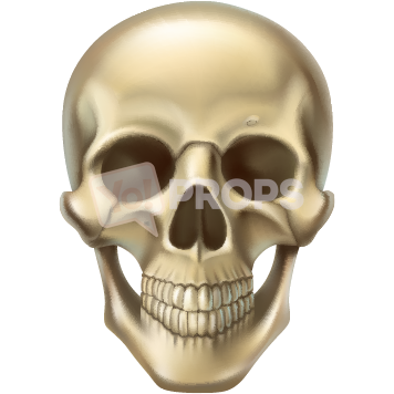 Skull Head