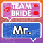 Wedding Arrow Prop - Team Bride & Mr.